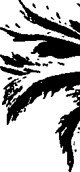 099/099320011501030_1.png