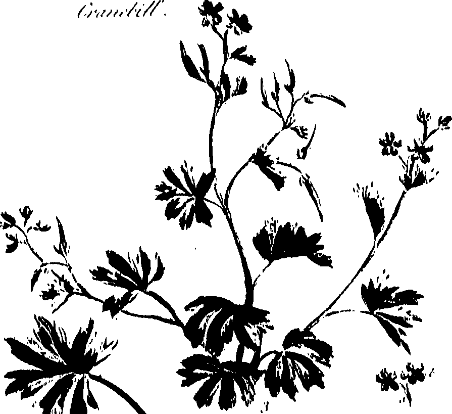 099/099320011501040_0.png