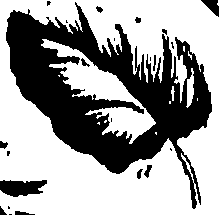 099/099320011501050_0.png
