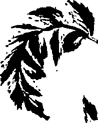 099/099320011501050_1.png