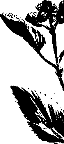 099/099320011501060_1.png