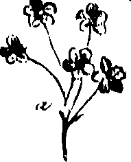 099/099320011501070_0.png