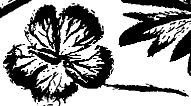 099/099320011501080_0.png
