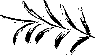 099/099320011501090_1.png