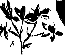 099/099320011501100_0.png