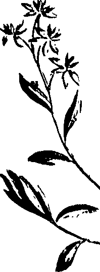 099/099320011501110_0.png