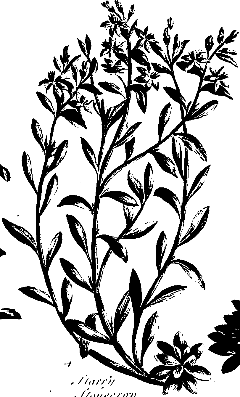 099/099320011501110_1.png