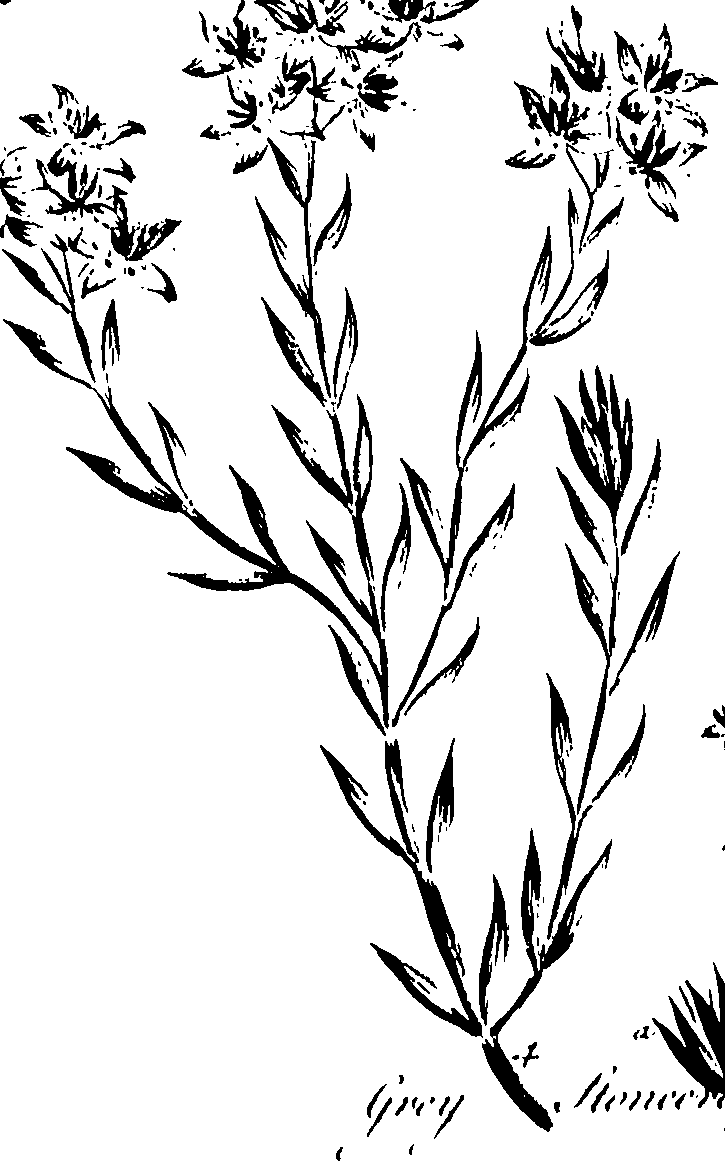099/099320011501120_0.png