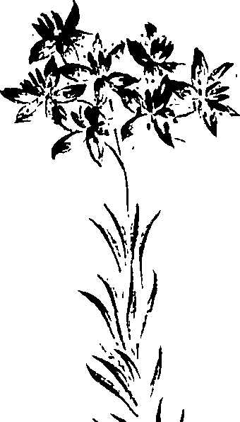 099/099320011501120_1.png