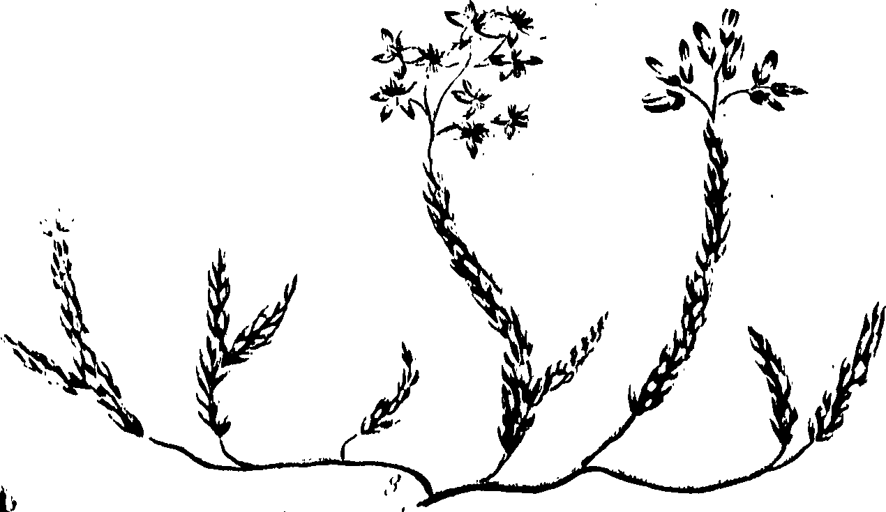 099/099320011501130_0.png
