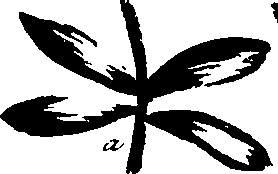 099/099320011501130_1.png