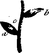 099/099320011501130_2.png