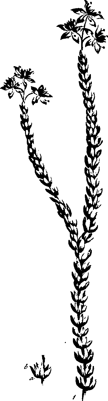099/099320011501140_0.png