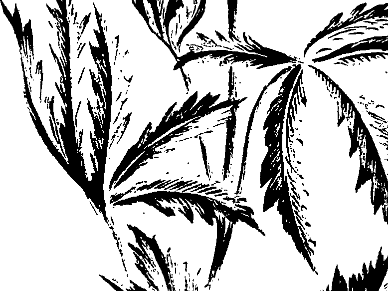 099/099320011501150_1.png