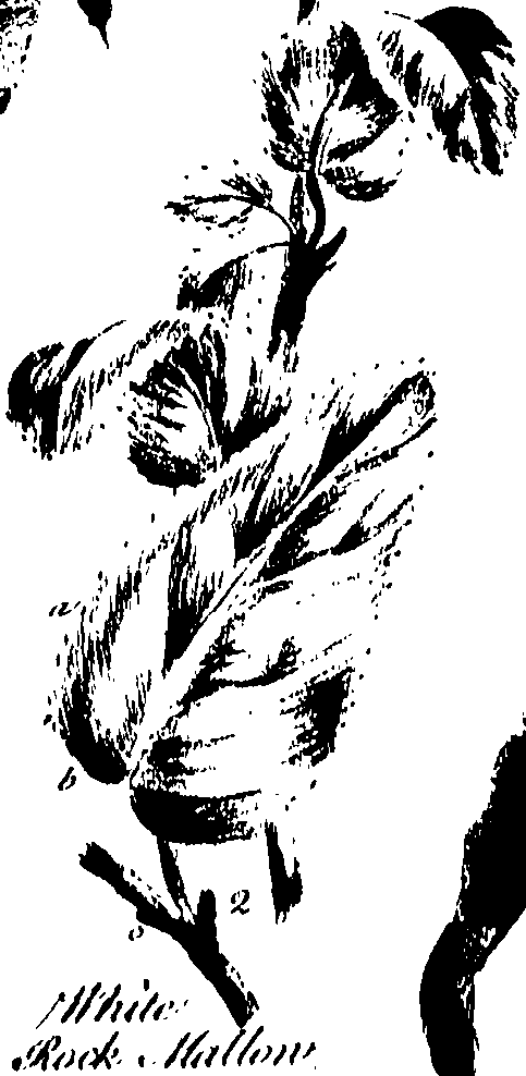 099/099320011501160_0.png