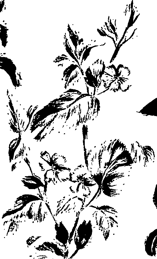 099/099320011501160_2.png