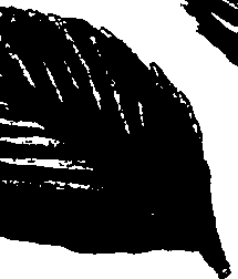 099/099320011501170_0.png