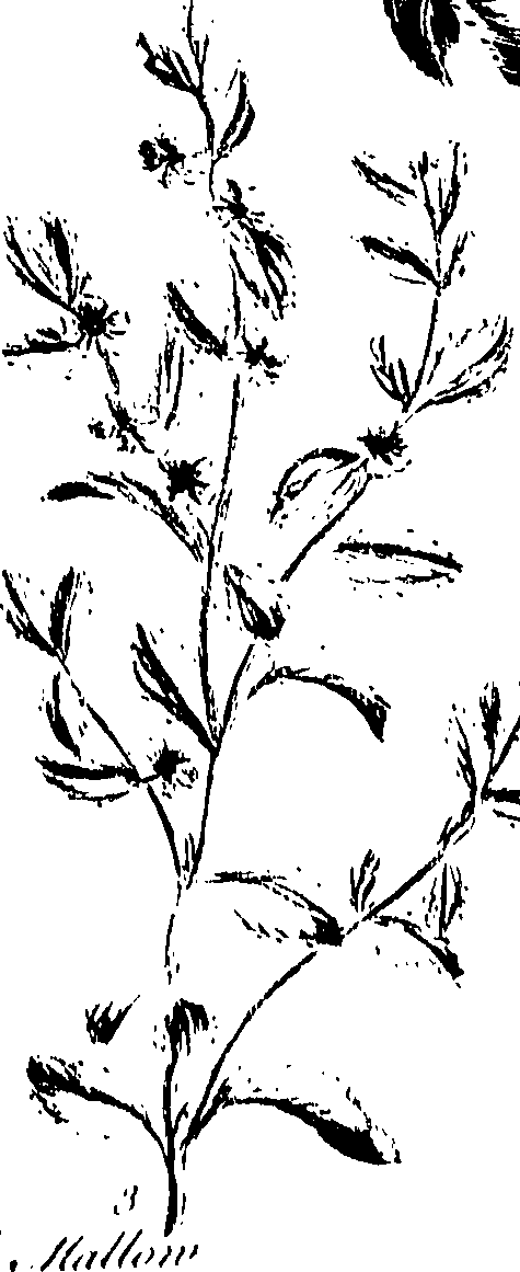 099/099320011501180_0.png