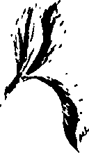 099/099320011501180_1.png
