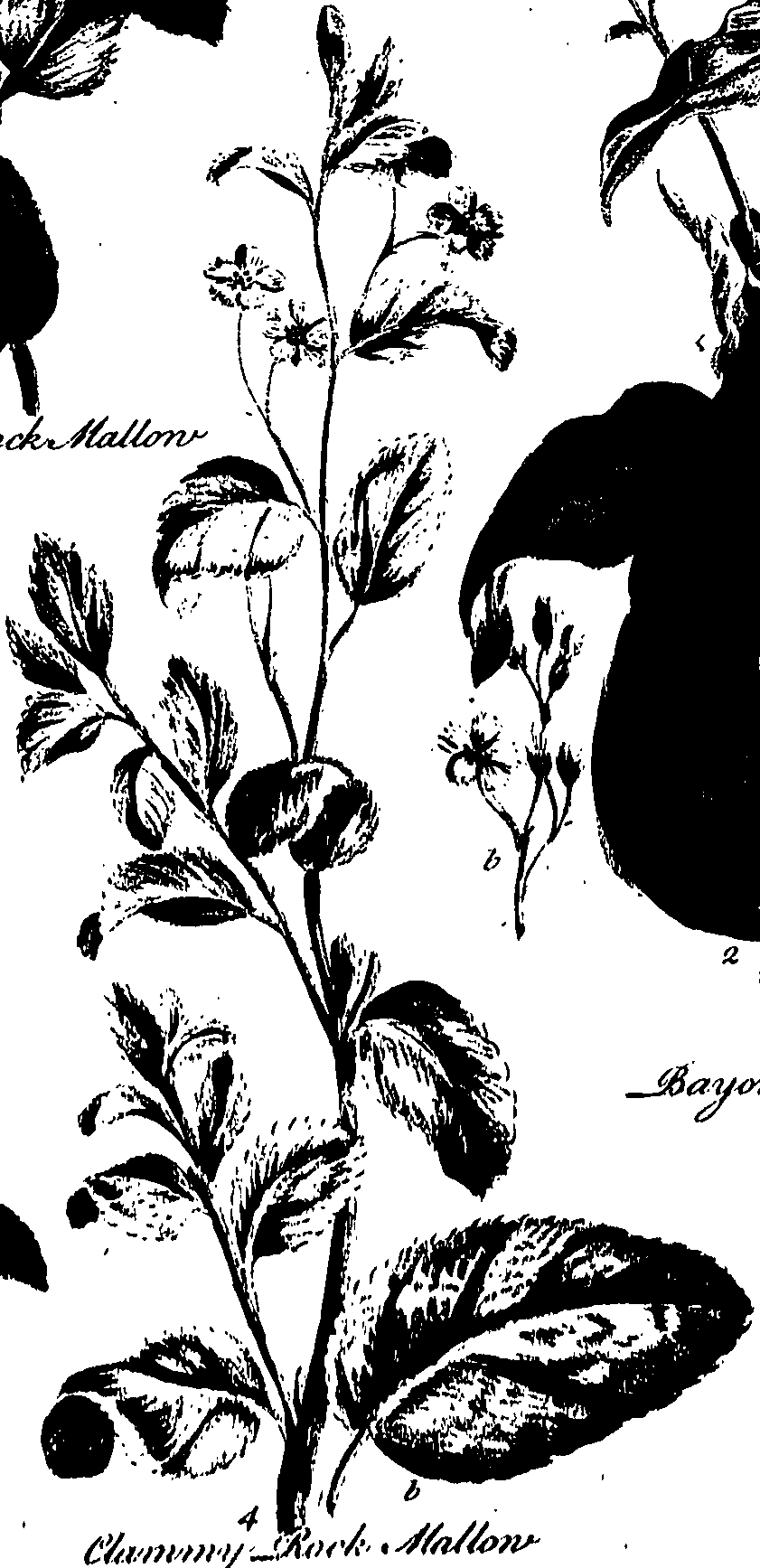 099/099320011501190_0.png