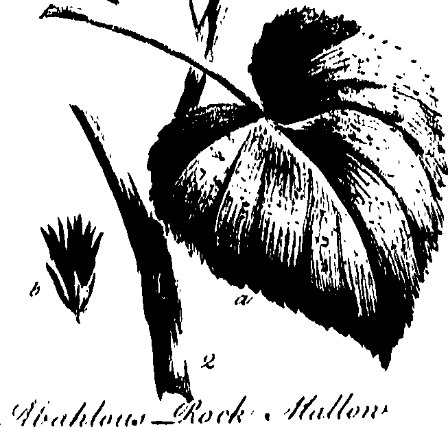 099/099320011501200_0.png