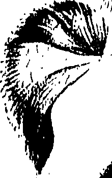 099/099320011501200_1.png