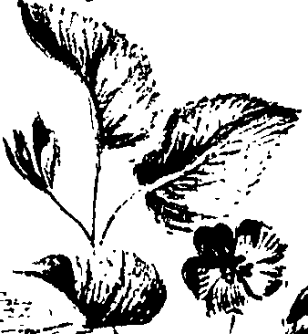 099/099320011501200_2.png