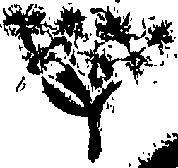 099/099320011501220_1.png