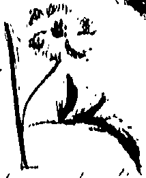099/099320011501230_0.png