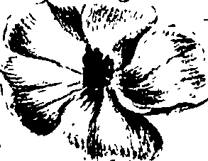 099/099320011501230_1.png