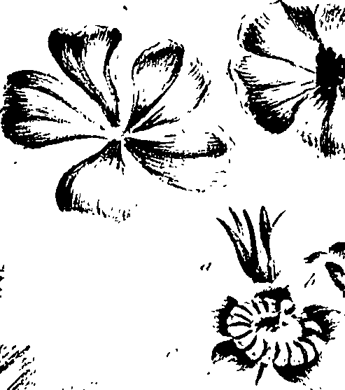099/099320011501230_2.png