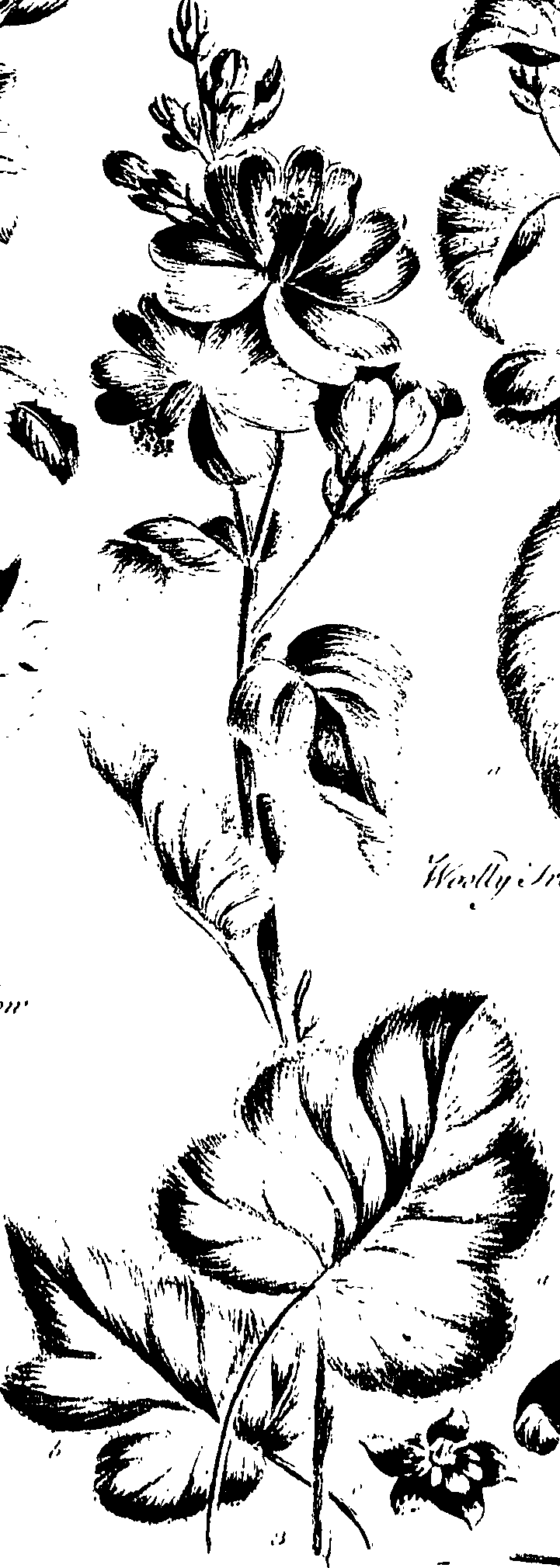 099/099320011501240_0.png