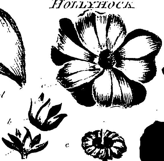 099/099320011501250_1.png