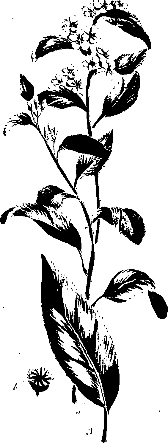 099/099320011600640_0.png