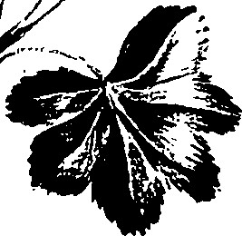099/099320011600670_0.png