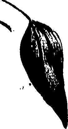 099/099320011600700_0.png