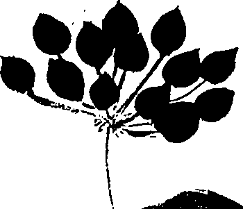 099/099320011600700_1.png