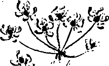 099/099320011600700_2.png