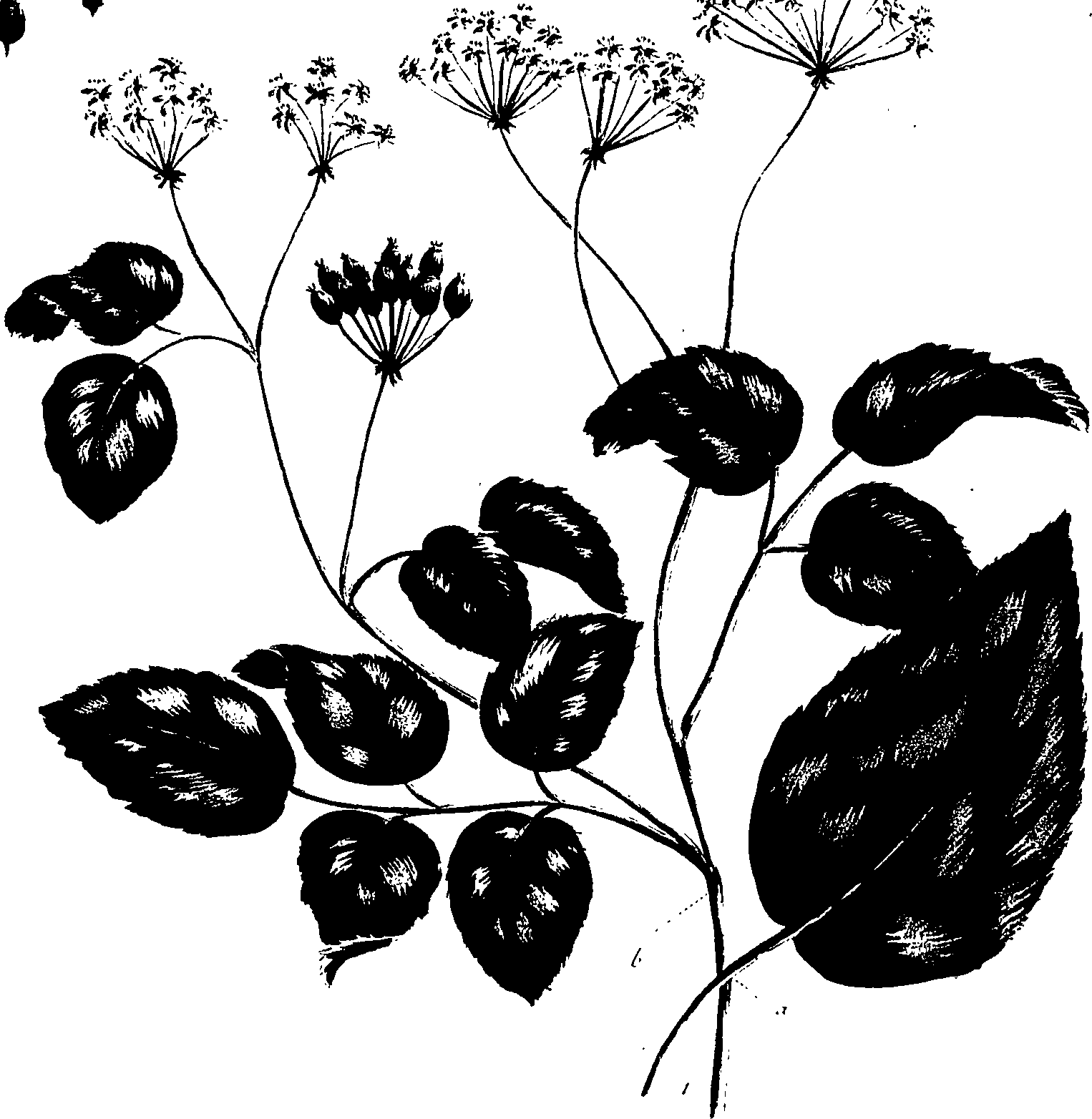 099/099320011600720_1.png