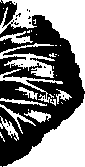 099/099320011600740_0.png