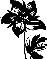 099/099320011600740_1.png