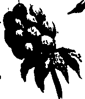 099/099320011600740_2.png