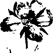 099/099320011600740_3.png
