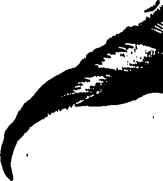 099/099320011600760_0.png