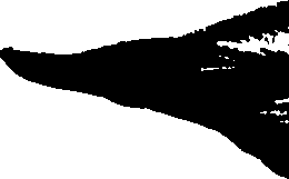 099/099320011600760_1.png