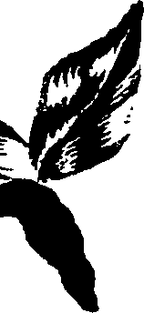 099/099320011600760_2.png