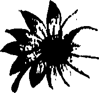099/099320011600780_1.png