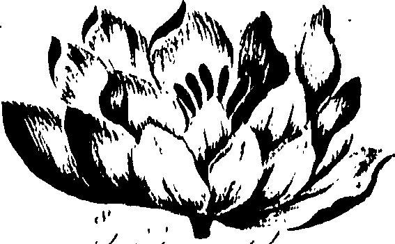099/099320011600780_2.png