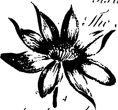 099/099320011600780_4.png