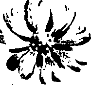 099/099320011600780_5.png